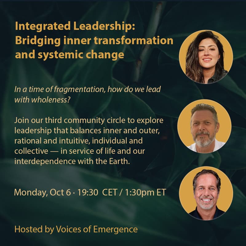 Cover Image for Integrated Leadership