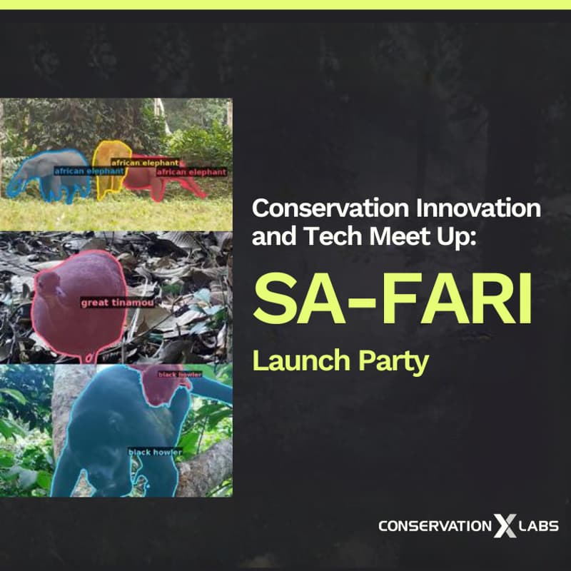 Cover Image for Conservation Innovation and Tech Meet Up: SA-FARI Launch Party