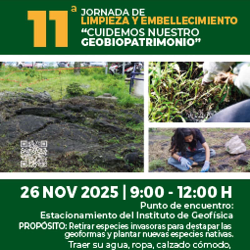 Cover Image for 11va. Jornada de Limpieza y Embellecimiento
