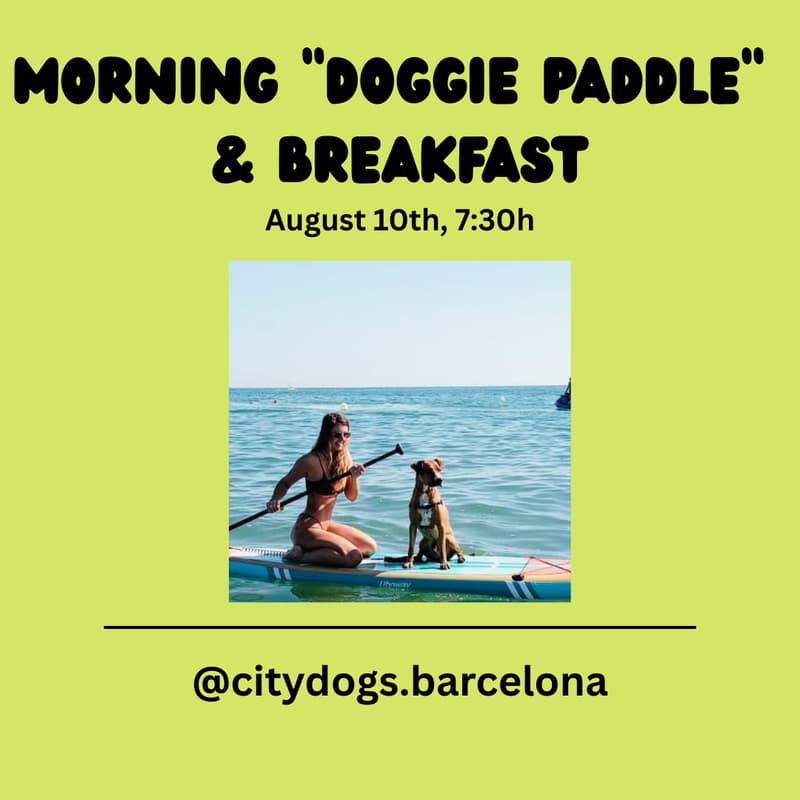 Cover Image for City Dogs | Morning "Doggie Paddle" & Breakfast