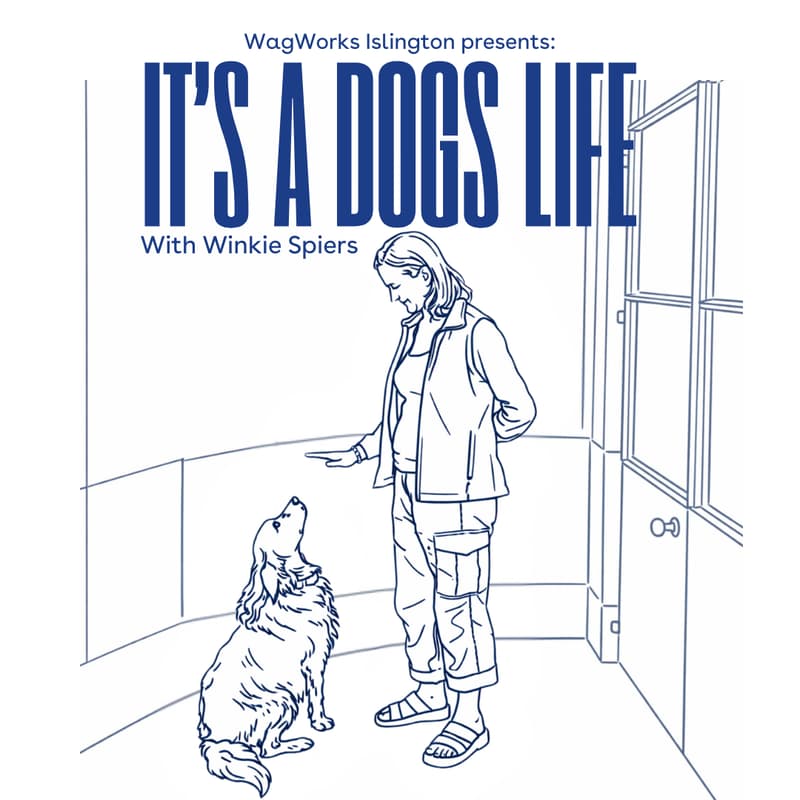 Cover Image for 'It's a Dogs Life' Talk
