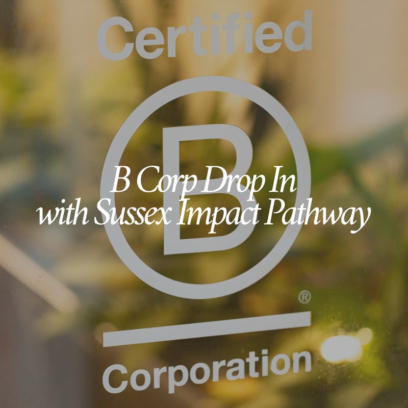Cover Image for B Corp Drop In with Sussex Impact Pathway