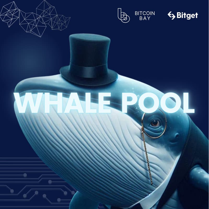 Cover Image for Whale Pool (Gameshow)