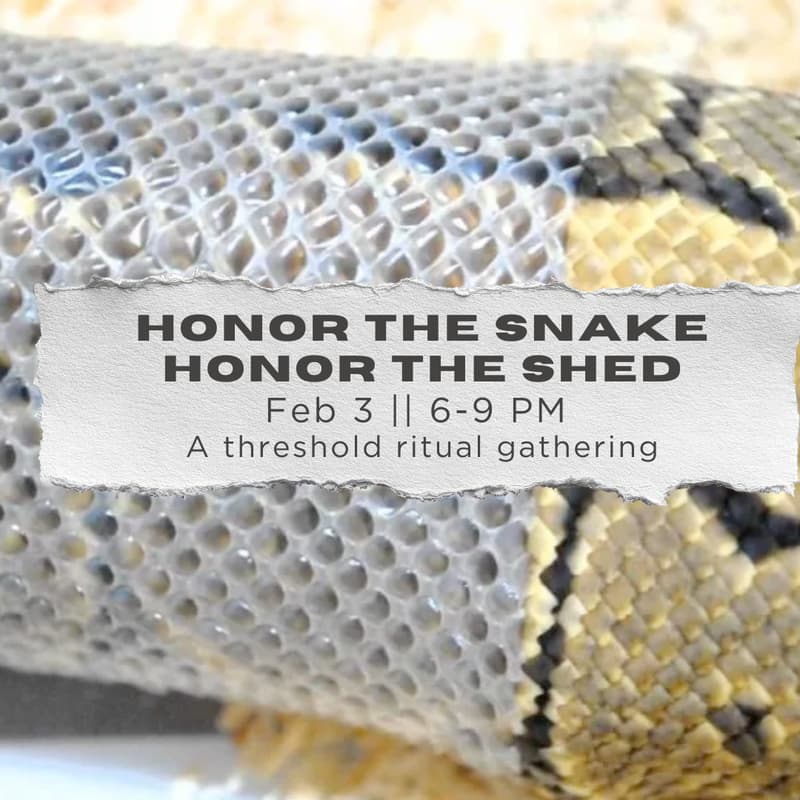 Cover Image for Honor the Snake / Honor the Shed