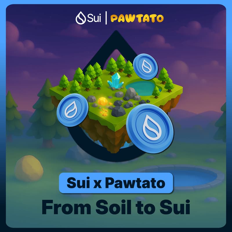 Cover Image for 🥔 Sui x Pawtato: From Soil to Sui