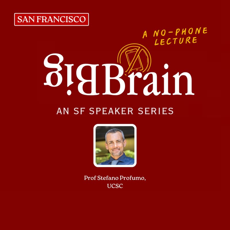 Cover Image for Dark Matter and Black Holes