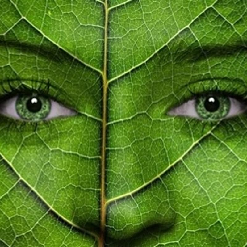 Cover Image for Biotown 2025