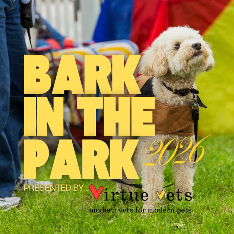 Cover Image for Bark In The Park presented by Virtue Vets at Marylebone Summer Festival
