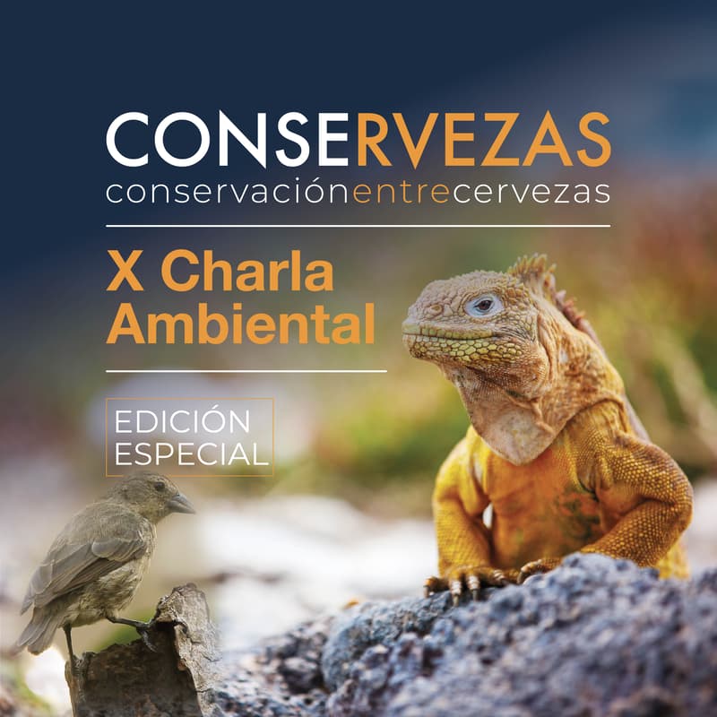 Foto de portada de Como peces fuera del agua