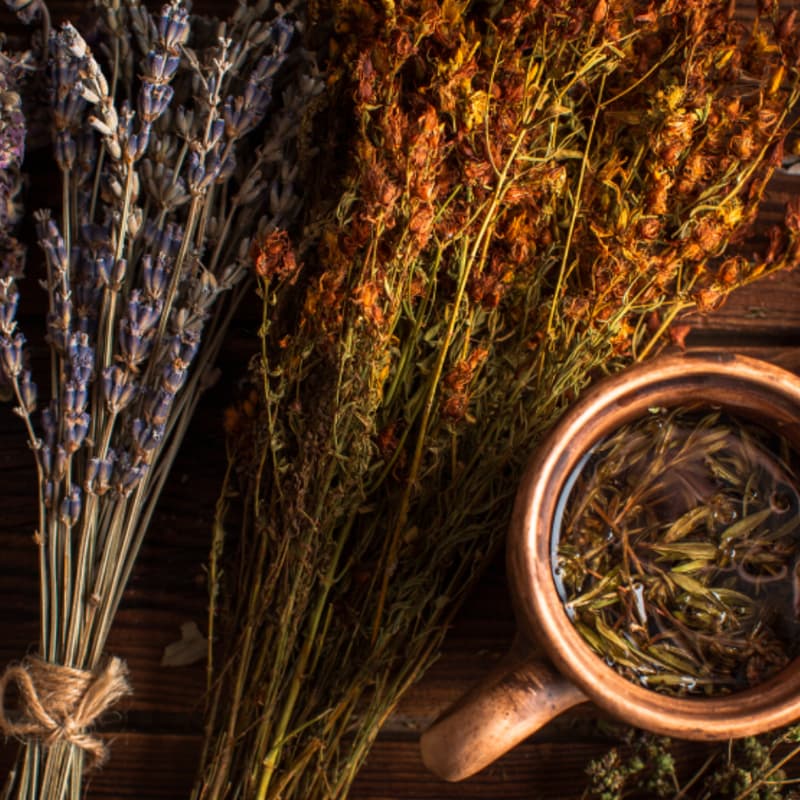 Cover Image for Taller de Hierbas y Plantas Medicinales | Duoc UC sede Alameda