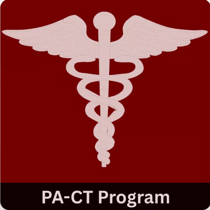 Cover Image for PA-CT: Mock Interviews