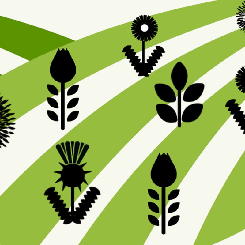 Cover Image for 🌱 SPECIAL EVENT: The Field To Come (Focus Group, Live Music, Tasting) 🌱