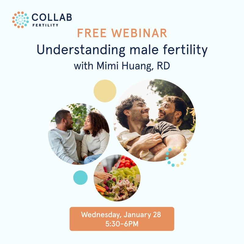Cover Image for Webinar: Understanding male fertility with Mimi Huang, RD