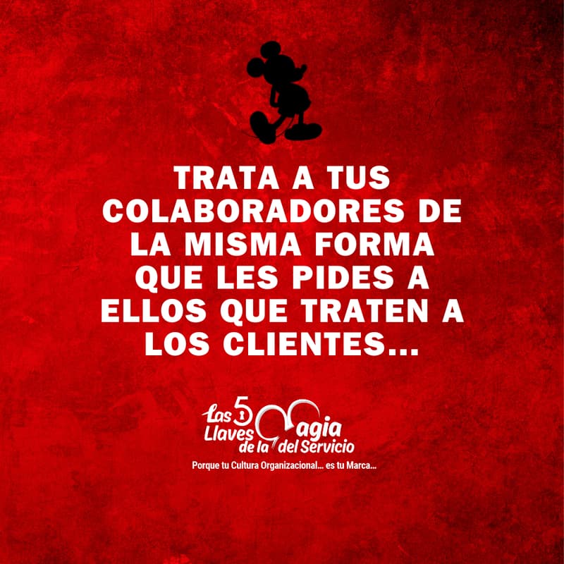 Cover Image for La magia detrás del servicio al cliente ✨