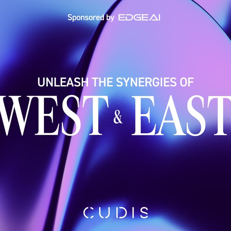 Cover Image for Unleash the Synergies of West & East