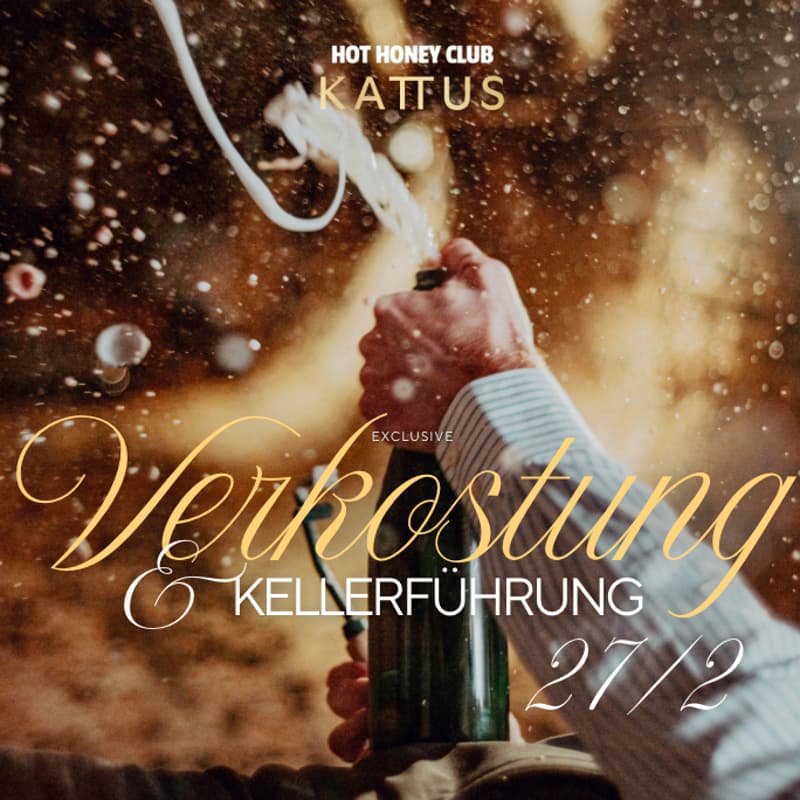 Titelbild für HOT HONEY FRIDAY | BEHIND THE BUBBLES @KATTUS