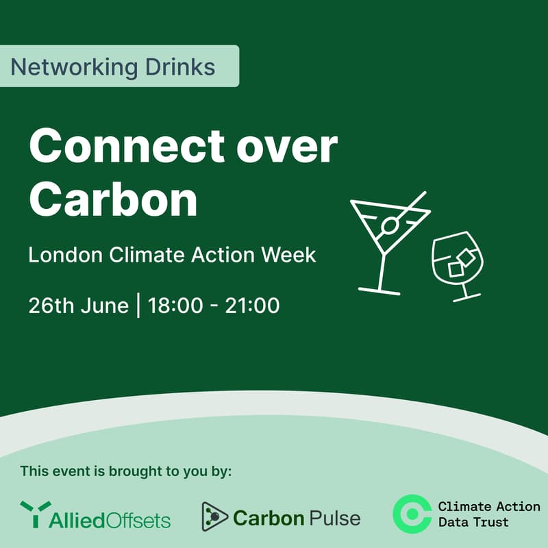 Cover Image for Connect over Carbon | Networking Drinks