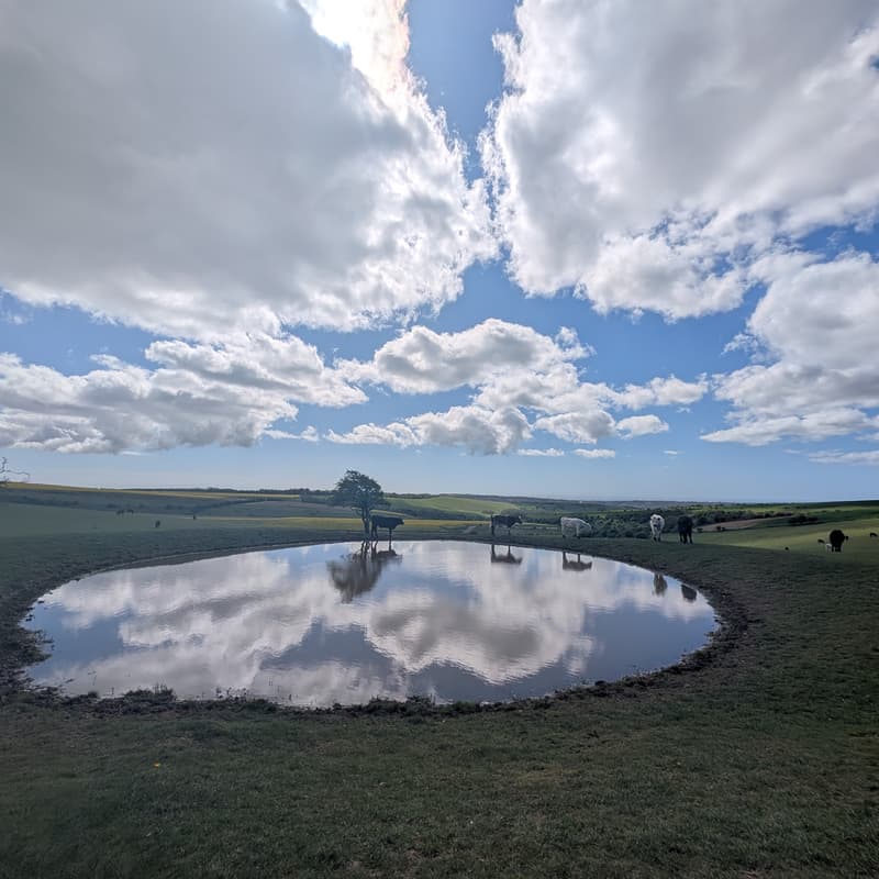 Cover Image for Lewes To Seaford Hike