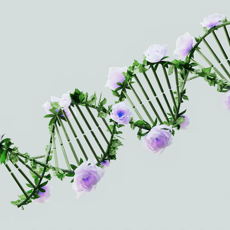 Cover Image for Affect Health - Testing Event