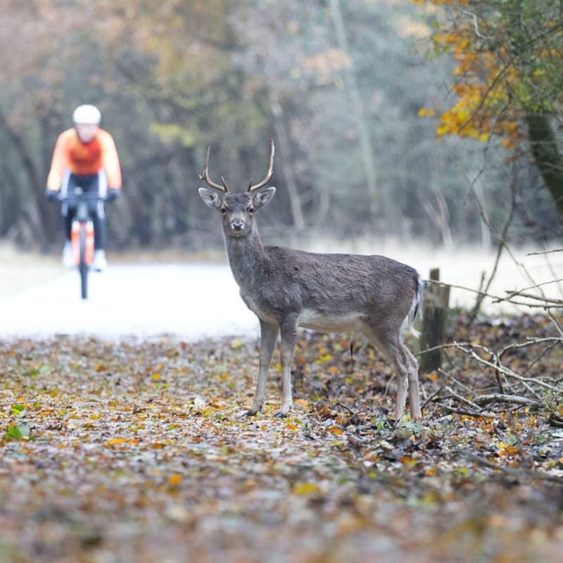 Cover Image for Tullio monthly ride out + Founders & Investors Bike Ride + Coffee Social