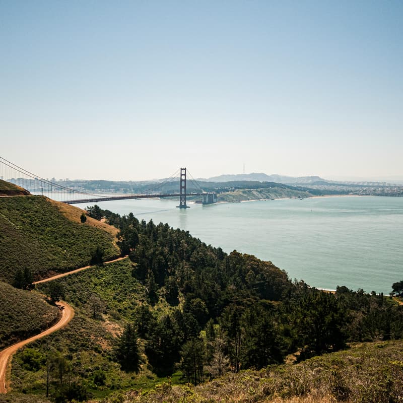 Cover Image for Nurturing Our Creative Vitality: Field Trip to Marin Headlands with Magali Mathieu