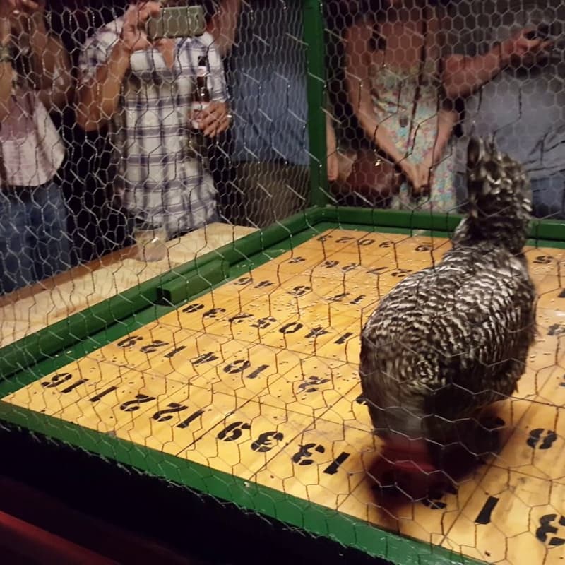 Cover Image for Chicken Shit Bingo