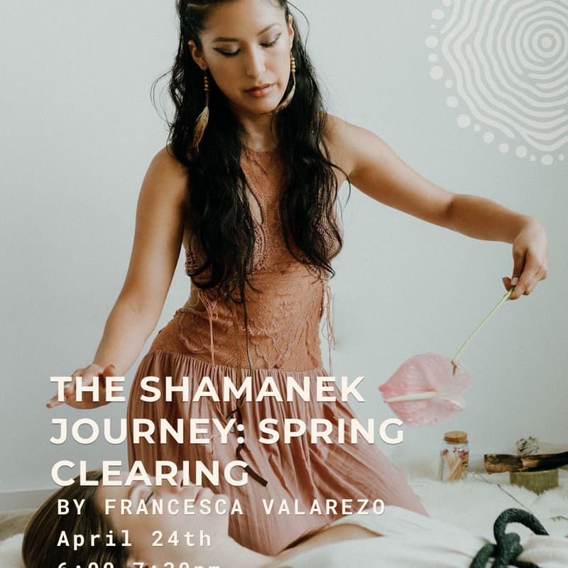 Cover Image for The Shamanek Journey