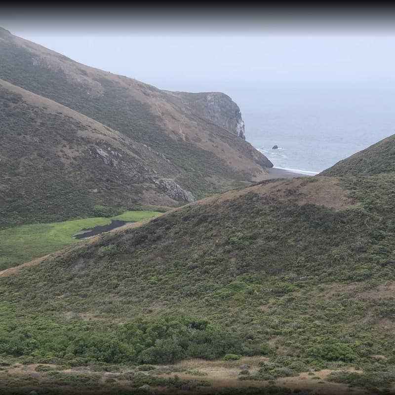 Cover Image for Life Science Hikers- Bay Area August Edition