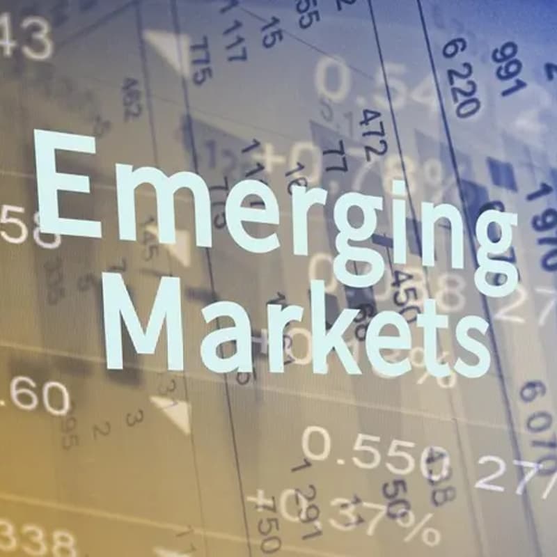 Cover Image for The ABCs of Investing in Emerging Markets – Lecture by Dr. Deanne De Vries