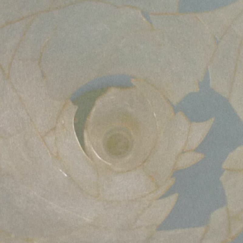 Cover Image for Silencio Solutions London Rose Easton