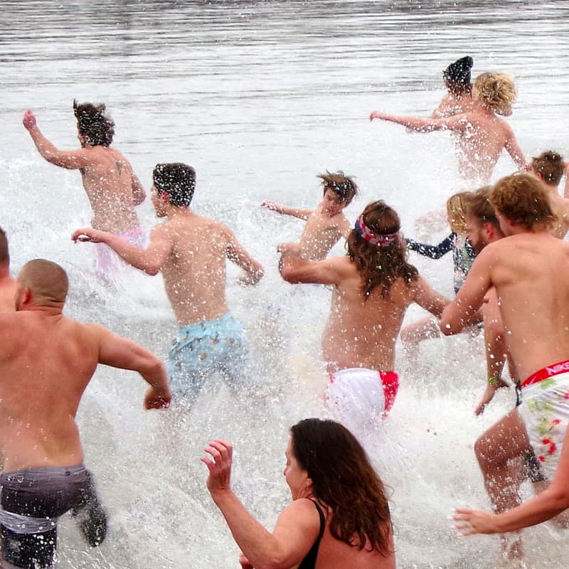 Cover Image for NEREID Polar Plunge