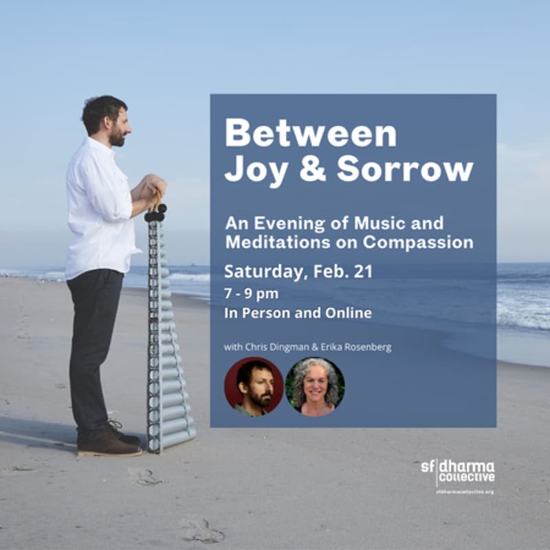 Cover Image for Between Joy and Sorrow