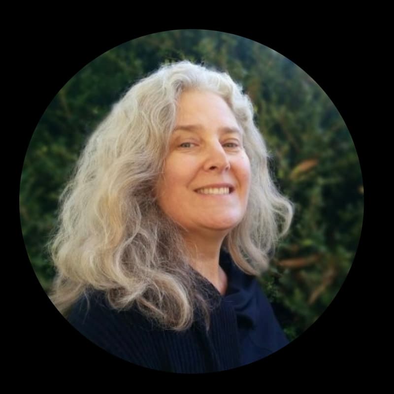 Cover Image for Book Release: Solidarity Economics