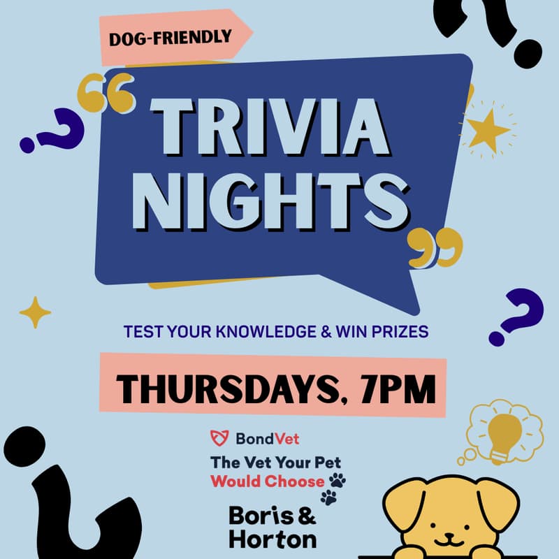 Cover Image for Dog-Friendly Trivia at Boris & Horton