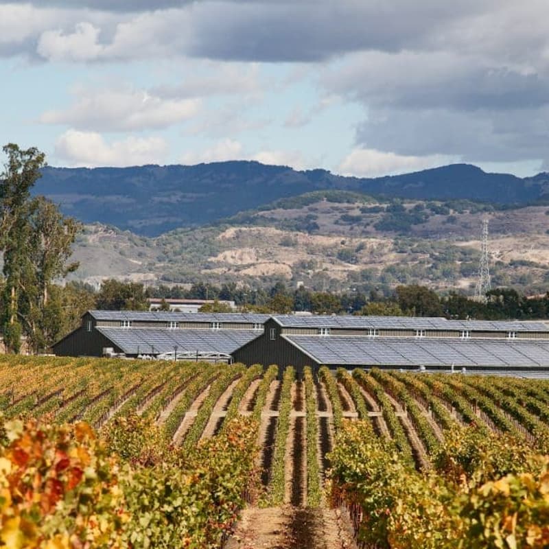Cover Image for North Bay Climate and Clean Energy Community Happy Hour