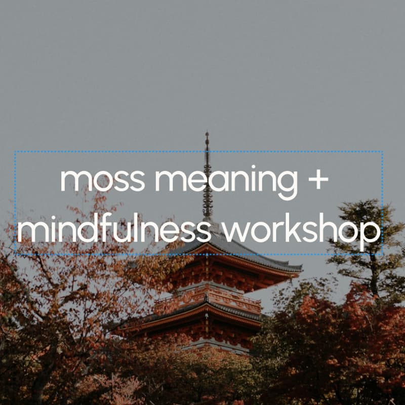 Cover Image for meaning + mindfulness workshop