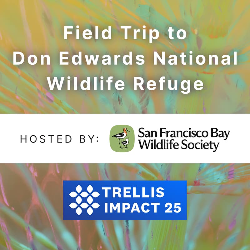 Cover Image for Field Trip to Don Edwards National Wildlife Refuge