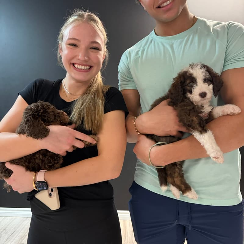 Cover Image for AfroPuppyYoga -📍Hamilton - 🐶