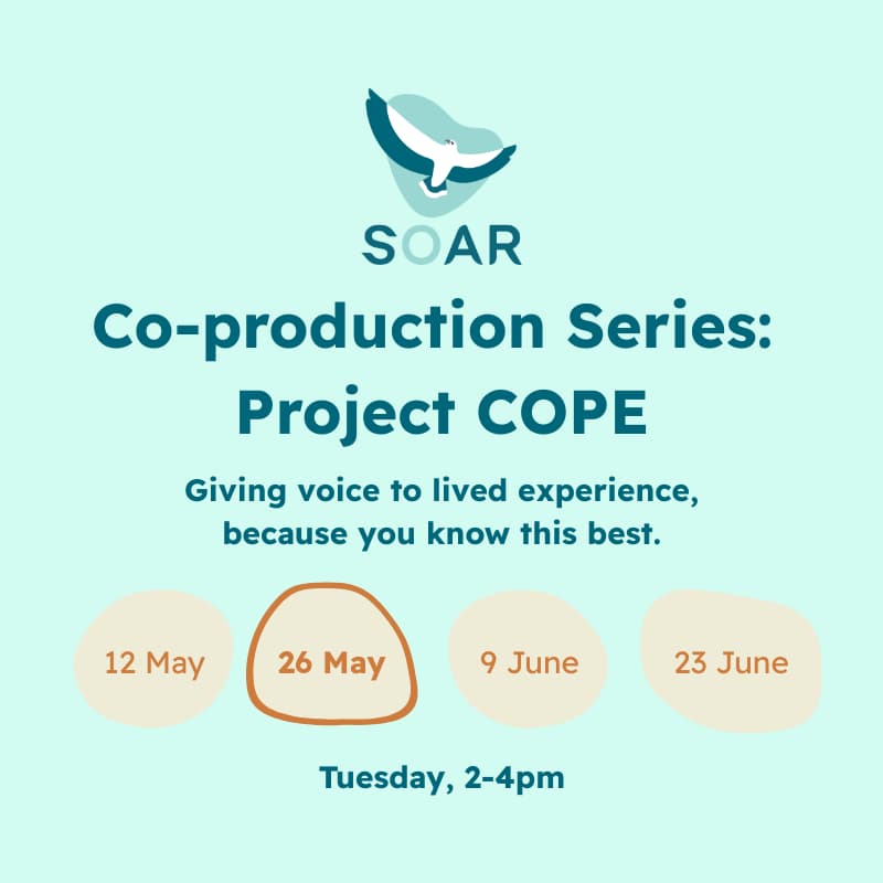 Cover Image for [2/4] Co-producing Project COPE's support group sessions