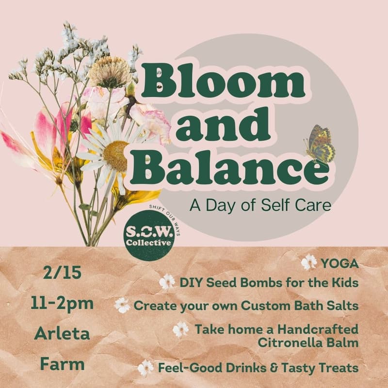 Cover Image for Bloom and Balance