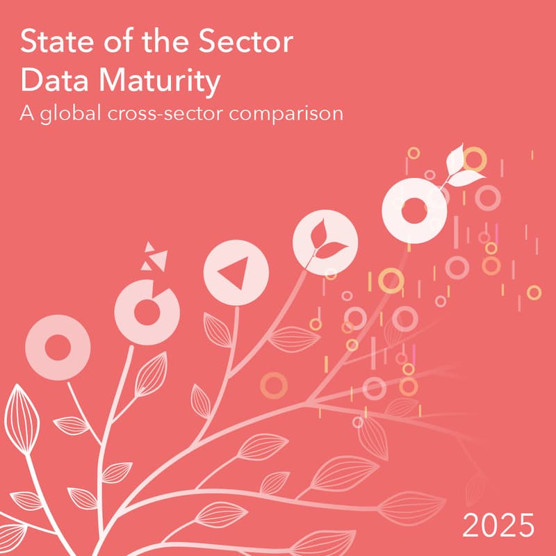Cover Image for Launch: State of the Sector Data Maturity Report 2025