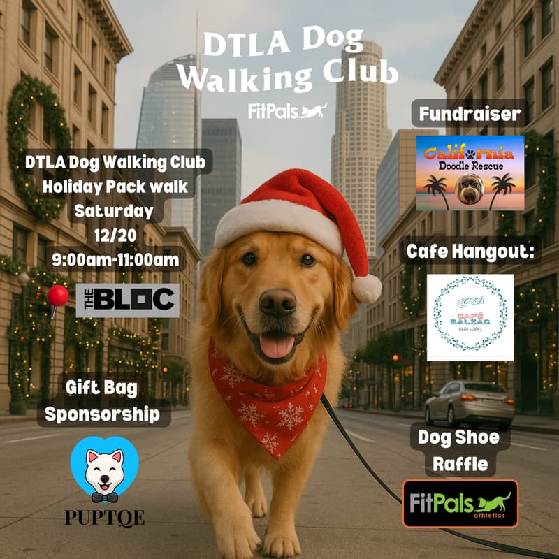 Cover Image for DTLA Dog Walking Club Holiday Pack Walk