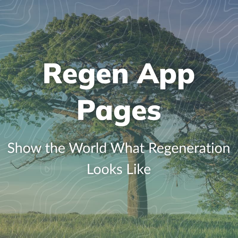 Cover Image for Regen Builder Lab- Show your impact ahead of Climate Week