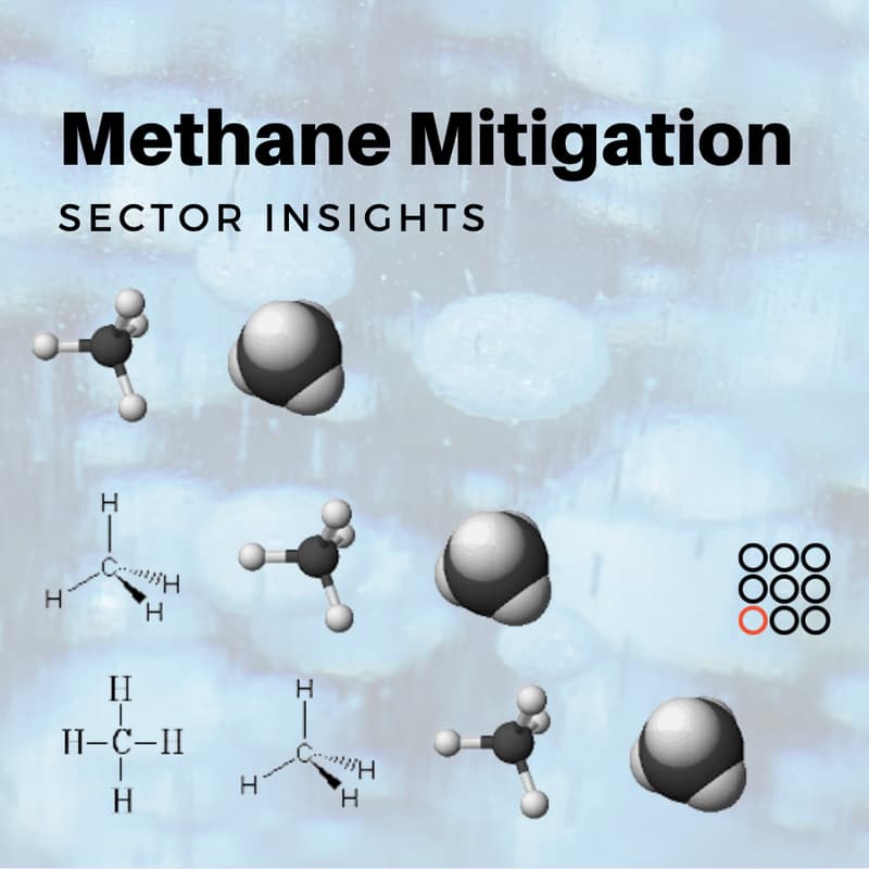 Cover Image for Sector Insights: Methane Mitigation