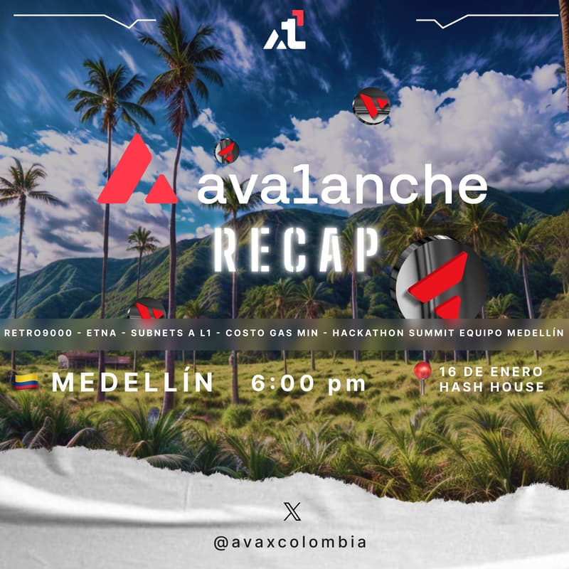 Cover Image for Ava1anche Recap 2024