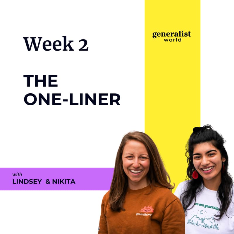 Cover Image for Week 2b - The One-Liner