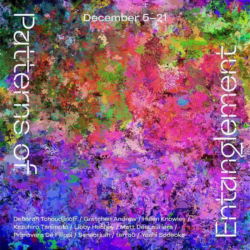 Cover Image for もつれのパターン/Patterns of Entanglement Opening Reception