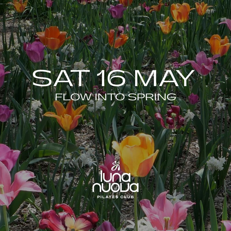 Cover Image for Flow Into Spring