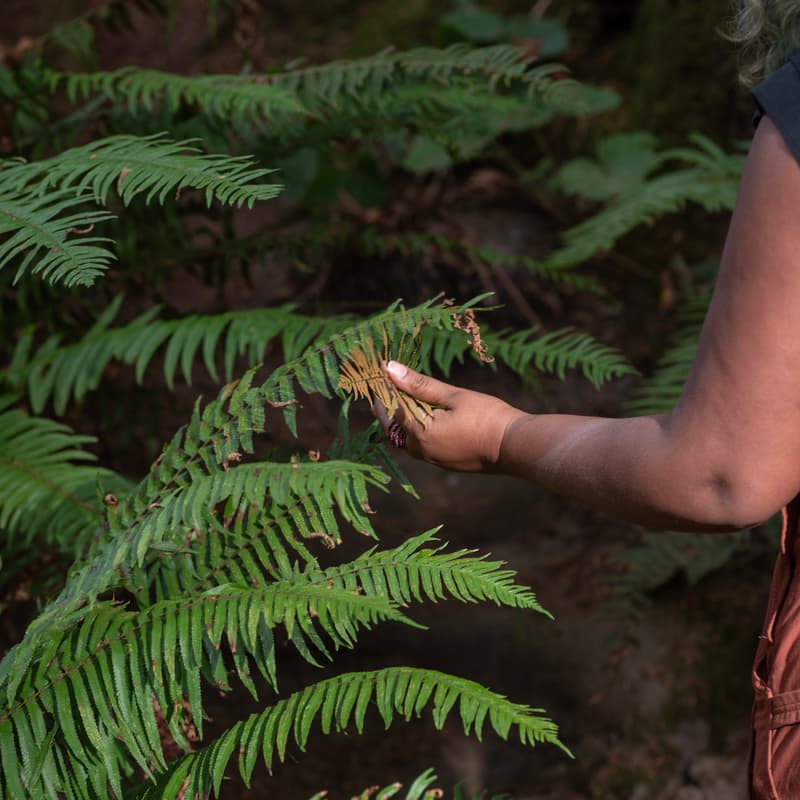 Cover Image for Wilderness Walk: Spring 🐝
