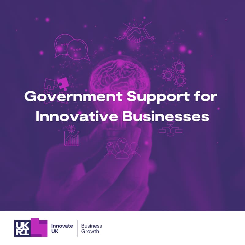 Cover Image for Government support for innovative businesses